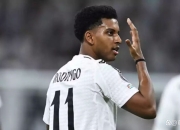 开云体育官网-阿森纳强势皇马，罗德里戈制霸全场的简单介绍