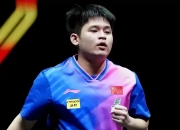 开云体育登录-法国乒乓球队完胜日本乒乓球队，许昕送出助攻的简单介绍