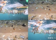 开云体育登录-尼斯防守惨遭破坏，队内反思重整的简单介绍