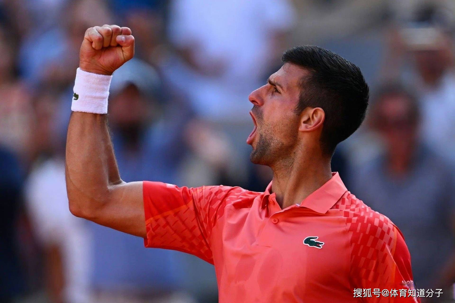 关于世界网球队绝地反击日本网球队,德约科维奇关键制胜的信息 关于世界网球队绝地反击日本网球队,德约科维奇关键制胜的信息