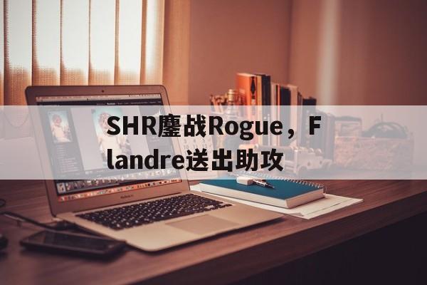 关于SHR鏖战Rogue，Flandre送出助攻的信息